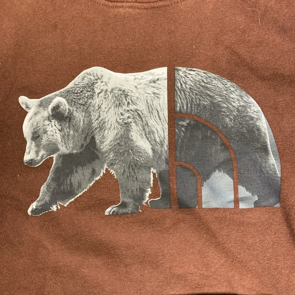 The North Face Hoodie Men's Small Bear Long Sleeve Pullover Sweater Brown‎